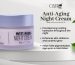 Ostro Odyssey Anti-Aging Night Cream for skin repair